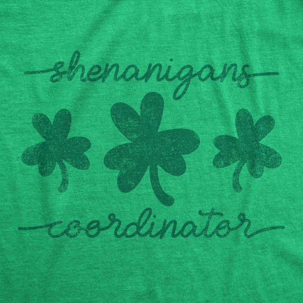 Shenanigans Coordinator Women's T Shirt product image 3