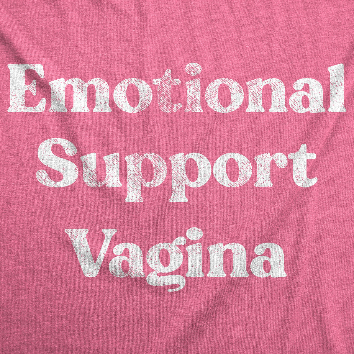 Emotional Support Vagina Women's T Shirt product image 2