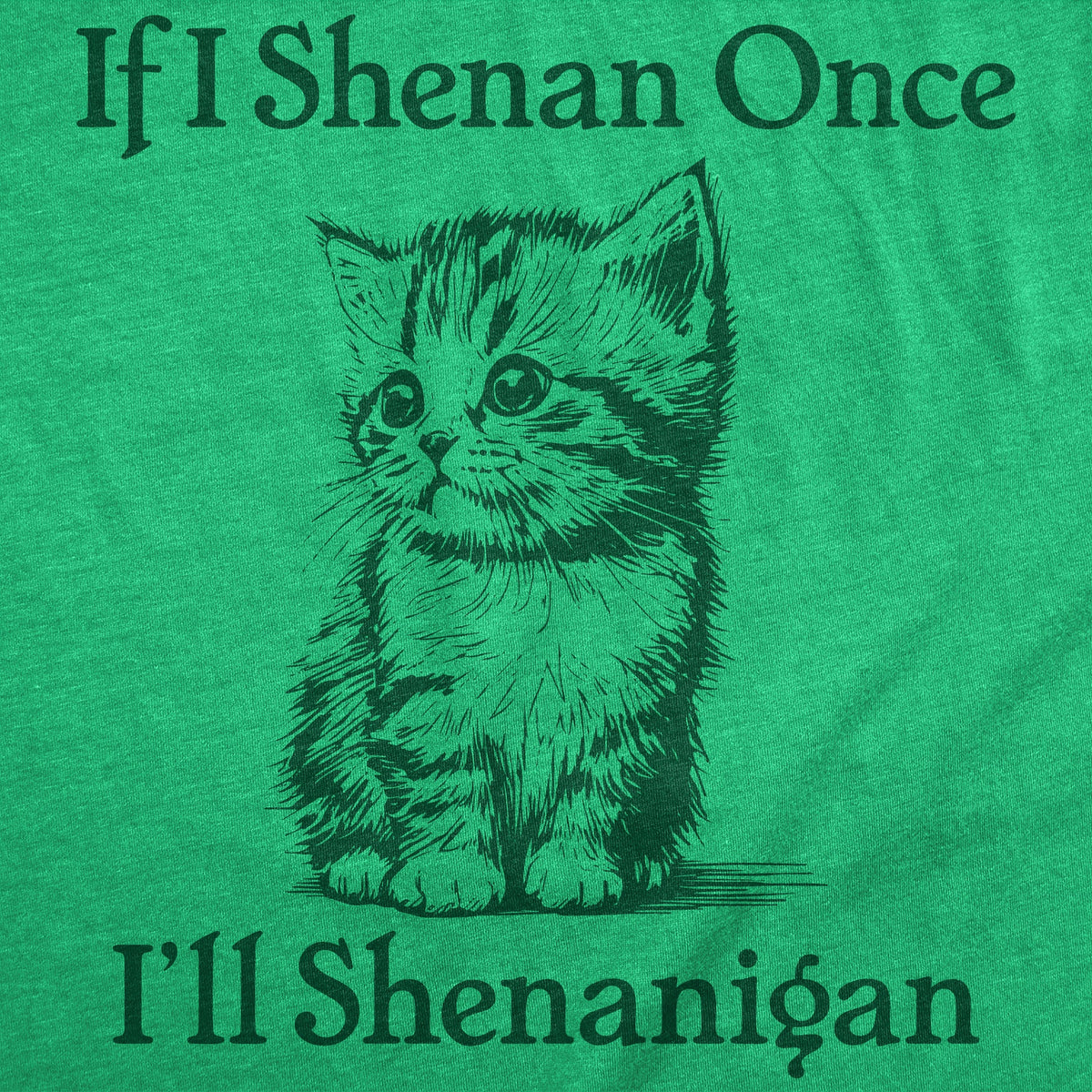 If I Shenan Once Ill Shenangian Men's T Shirt product image 3