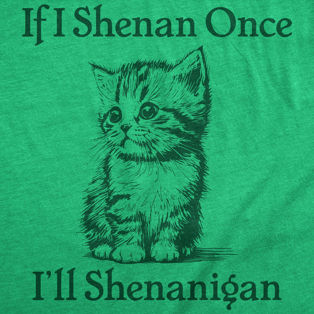 If I Shenan Once Ill Shenangian Women's T Shirt product image 3