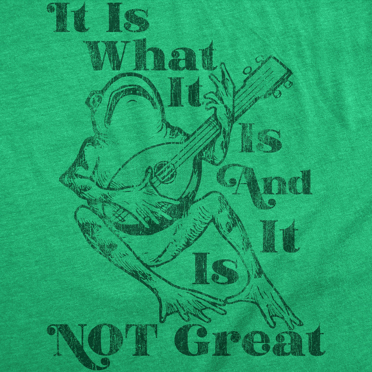 It Is What It Is And It Is Not Great Women's T Shirt product image 2