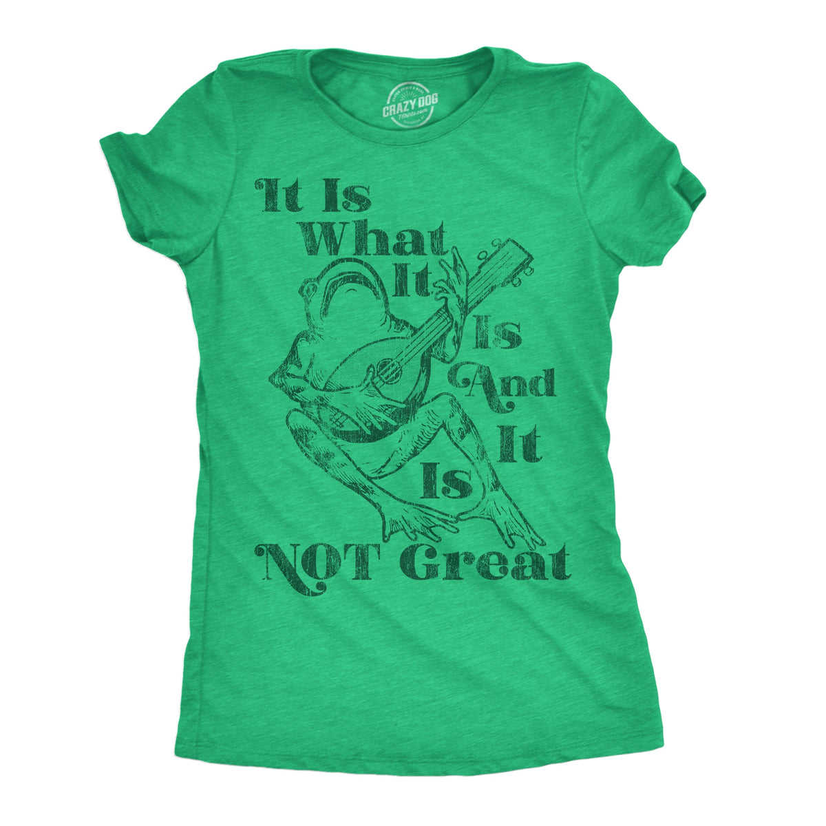 It Is What It Is And It Is Not Great Women's T Shirt product image 1