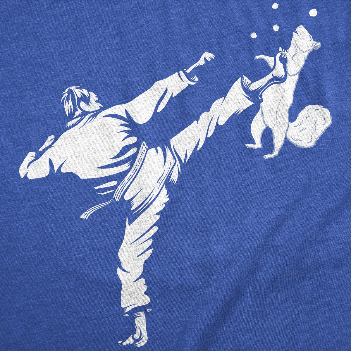 Karate Kicked Squirrel Men's T Shirt product image 3