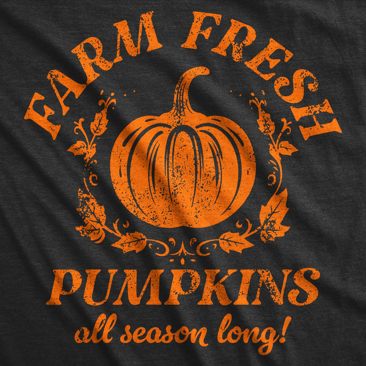 Farm Fresh Pumpkins Women's T Shirt product image 2