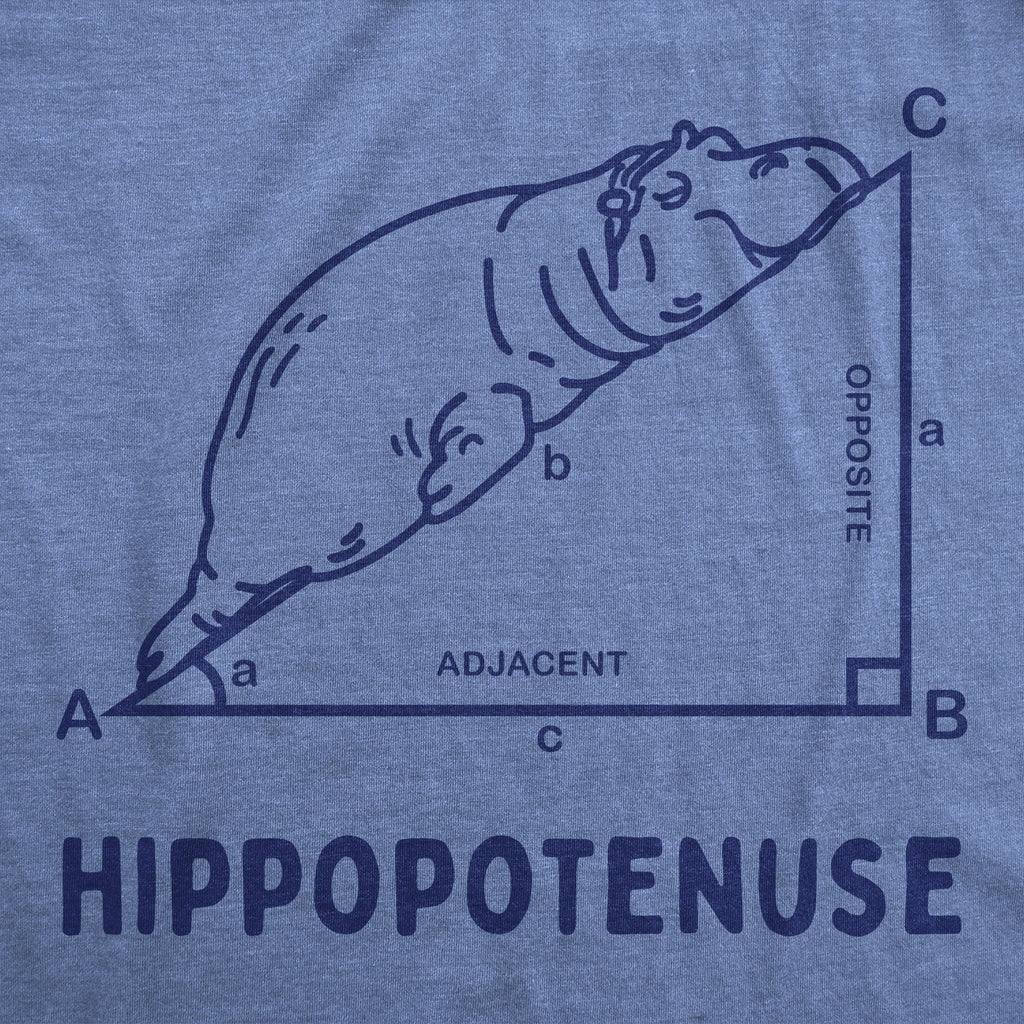 Hippopotenuse Women's T Shirt product image 3