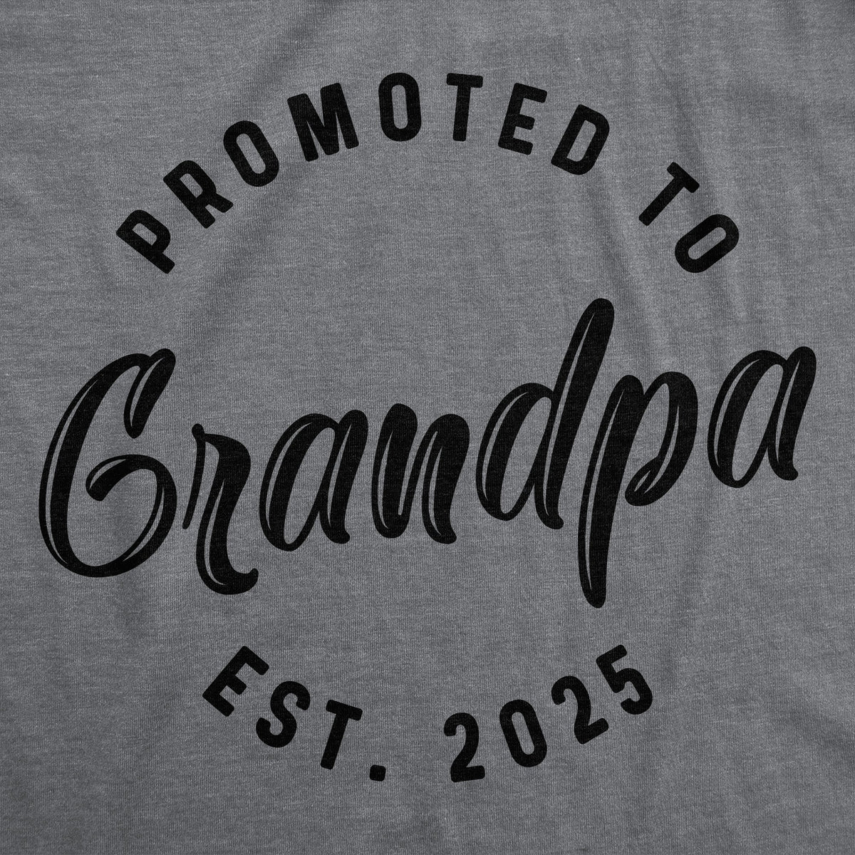 Promoted To Grandpa 2025 Men's T Shirt product image 3