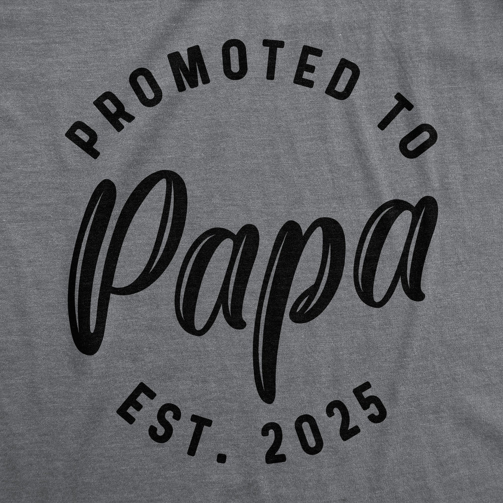 Promoted To Papa 2025 Men's T Shirt product image 3
