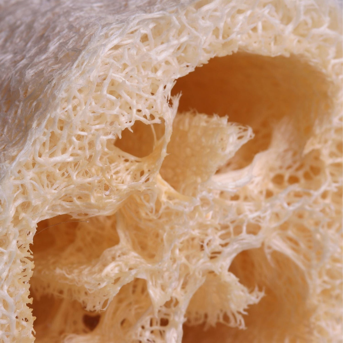 100% Natural Loofah
