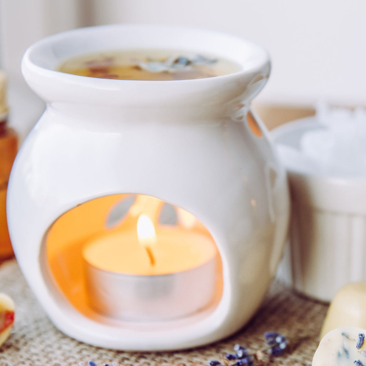 Black Raspberry Vanilla Soy Wax Melt