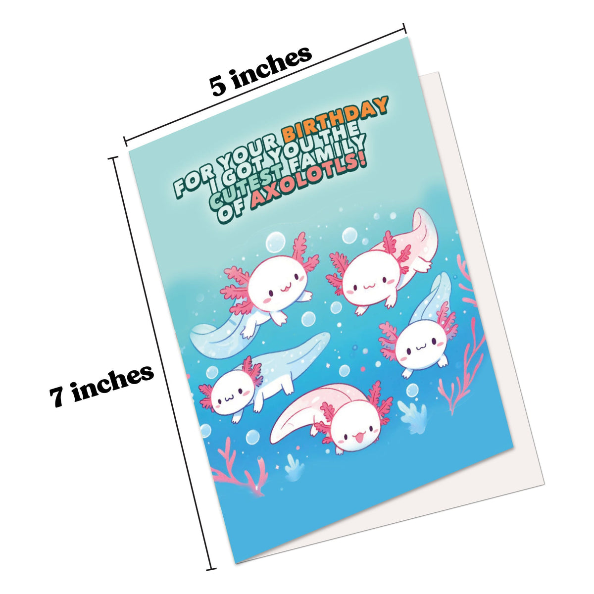 Funny Birthday Card Hilarious Assorted Cards for Celebrating With Envelopes
