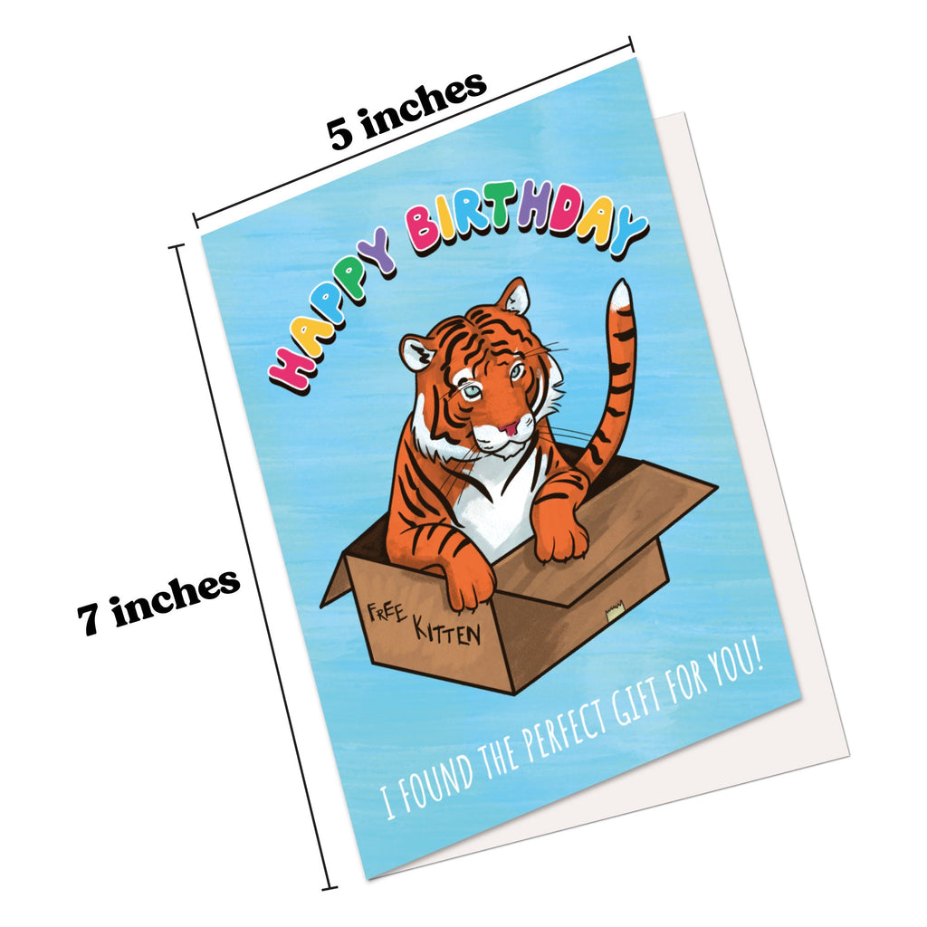 Funny Birthday Card Hilarious Assorted Cards for Celebrating With Envelopes