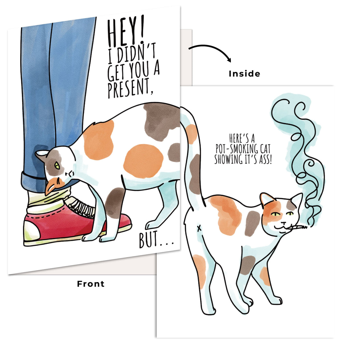 Funny Birthday Card Hilarious Assorted Cards for Celebrating With Envelopes