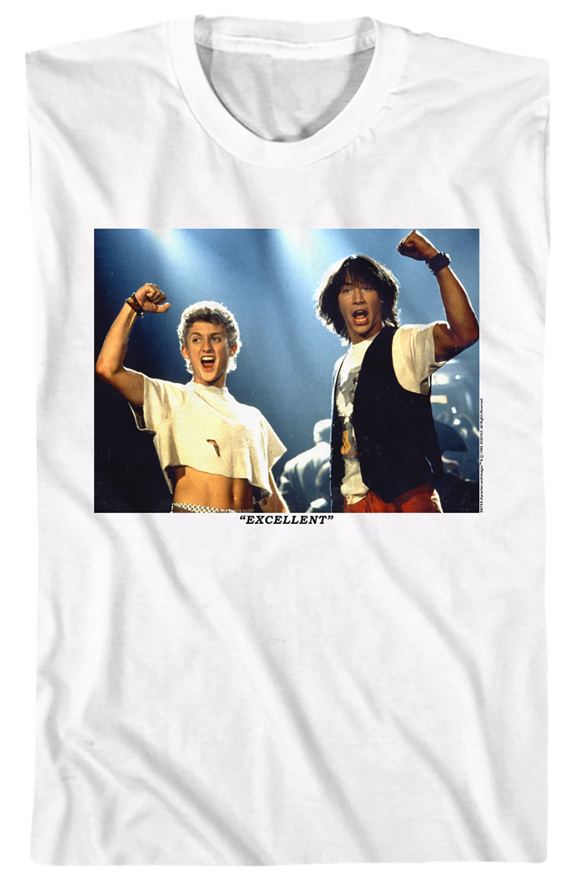 Excellent Framed Picture Bill and Ted T-Shirt product image 2