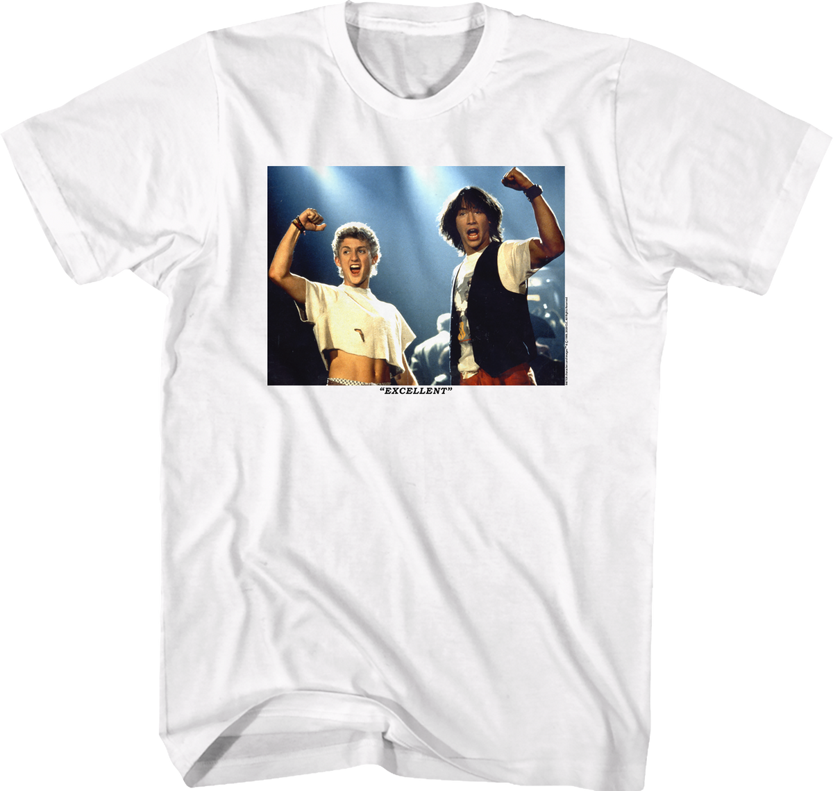 Excellent Framed Picture Bill and Ted T-Shirt product image 1