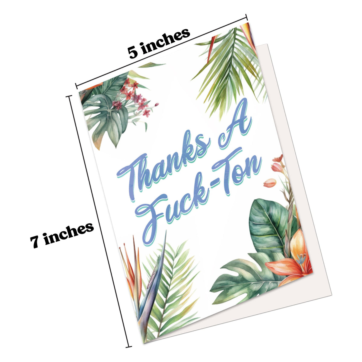 Funny Thank You Card Hilarious Assorted Cards for Saying Thanks With Envelopes