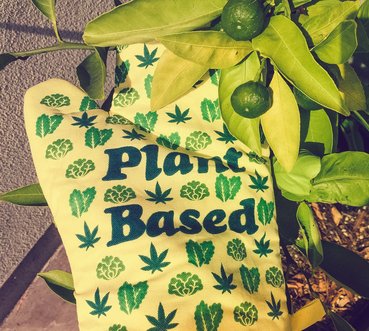 Plant Based Bakeware