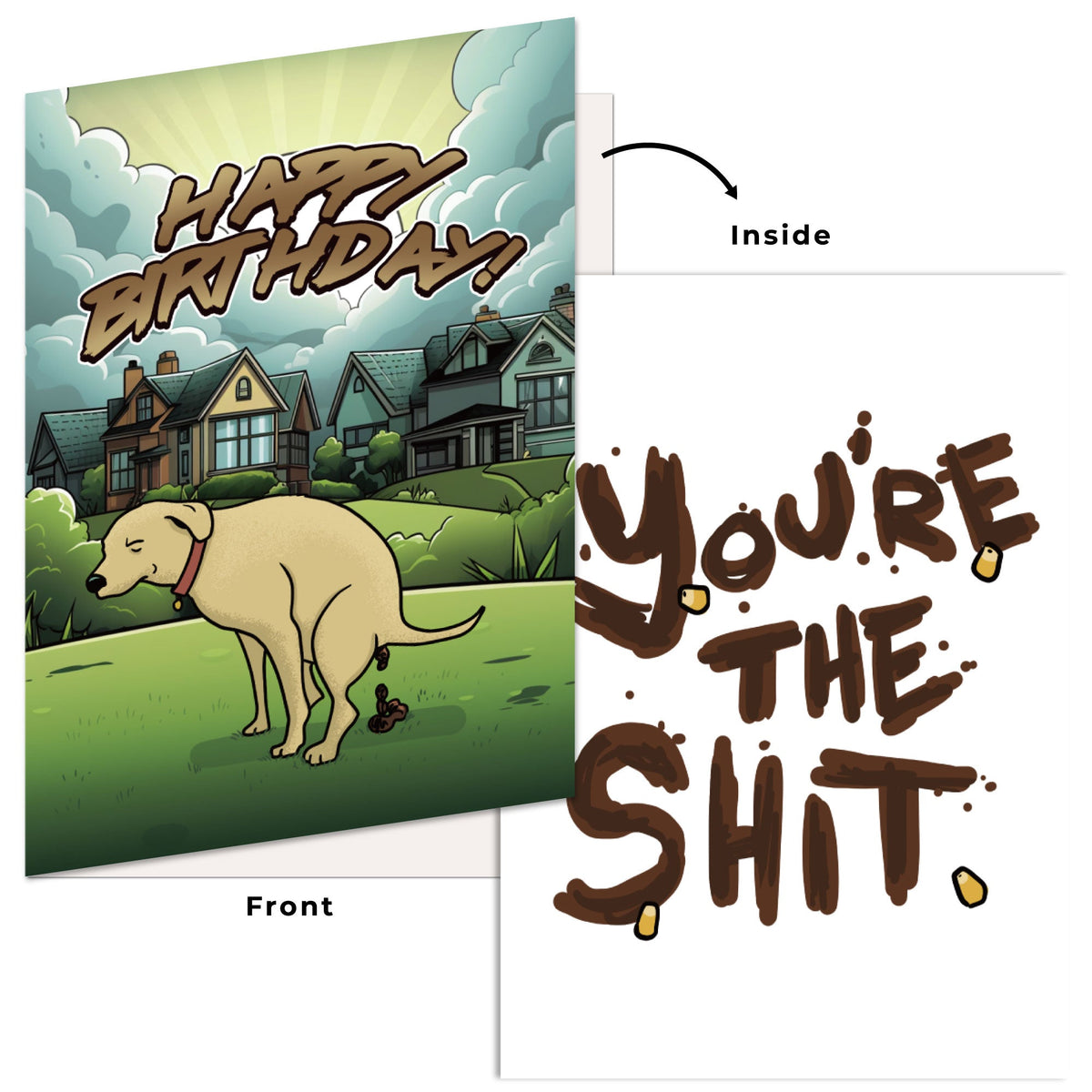 Funny Birthday Card Hilarious Assorted Cards for Celebrating With Envelopes