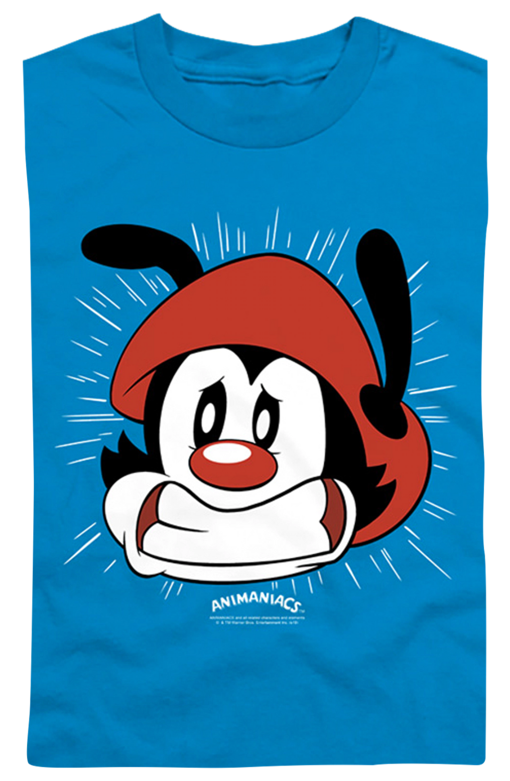Youth I Have To Potty Animaniacs Shirt product image 2