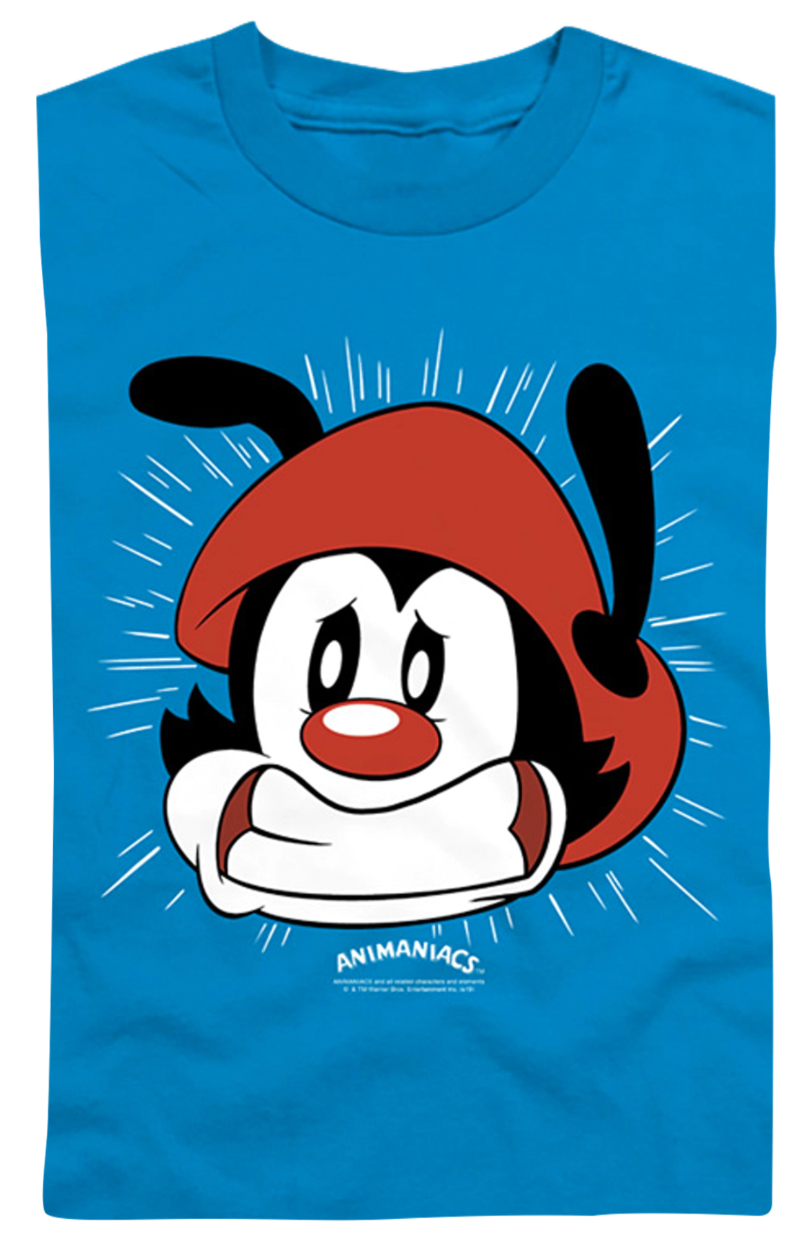 Youth I Have To Potty Animaniacs Shirt product image 2